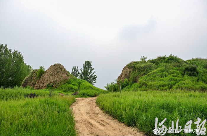 7月10日拍摄的鄚州城遗址残存城墙。河北日报记者李东宇摄