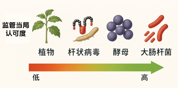 图源：毓舫医疗