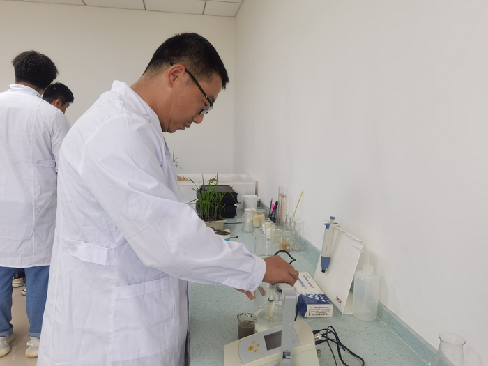 实验室里的马巍（央广网发  林文君  摄）