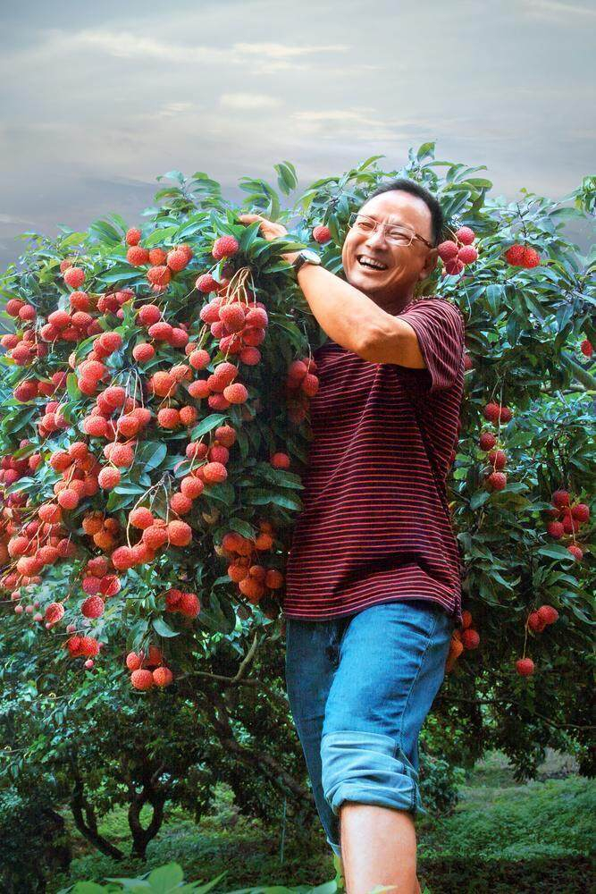 增城仙进奉荔枝。图片来源：珠江经济台