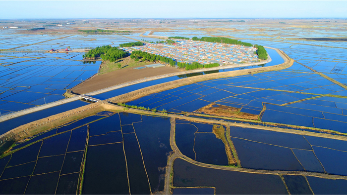 镇赉现已成为吉林水田生产第一大县（央广网发  潘晟昱  摄）