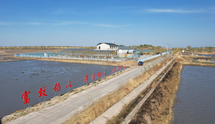 省农科院在位于镇赉县嘎什根乡的白沙滩灌区重点实验站（央广网发  林文君  摄）