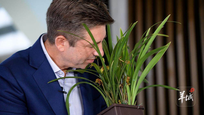 羊城晚报请来胡润，讲述四会兰花“父爱如兰”的故事