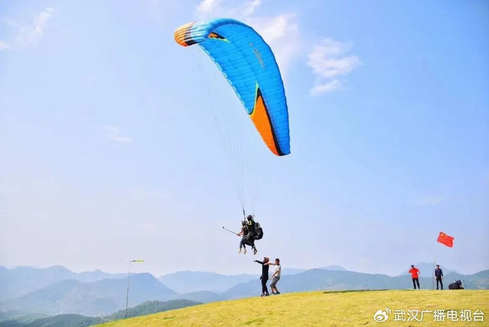 图片来源于网络