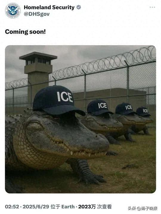 美国国土安全部6月29日在社交媒体上发布的相关帖文截图。