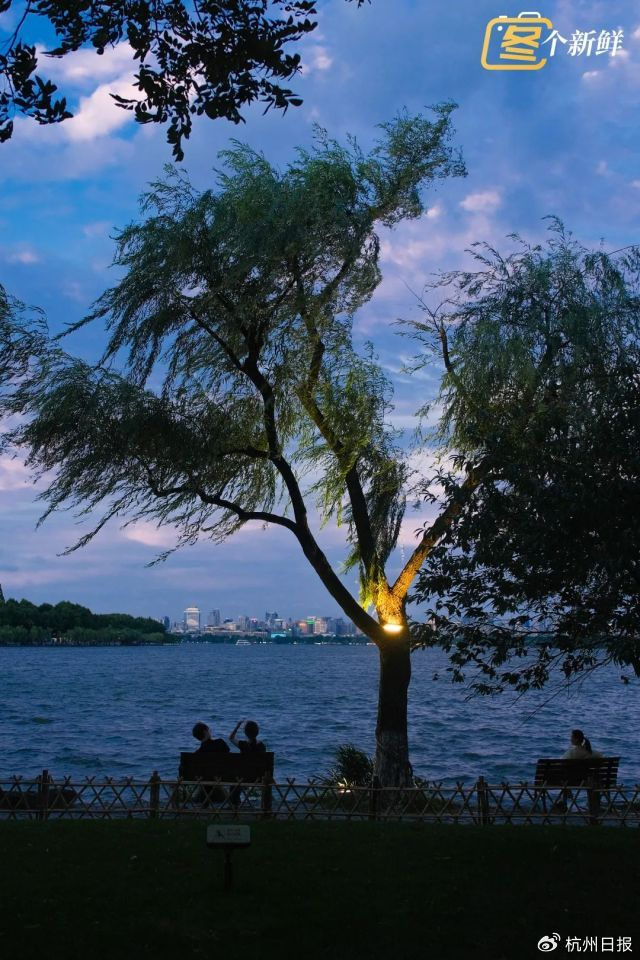 摄影 九月和桃子