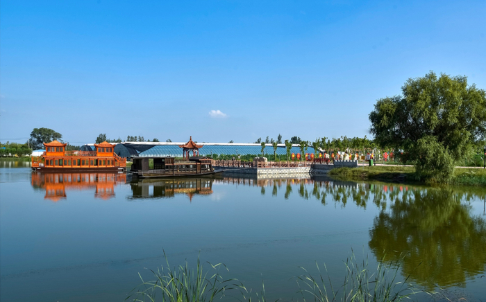 ▲德州市禹城市桂庄村田园综合体。图源：德州市民宗局