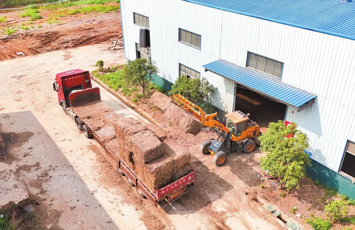 赢海环保科技有限公司正在卸载回收的秸秆。