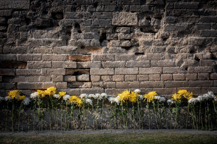 弹孔墙前的鲜花 摄影孔闯