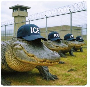 美国国土安全部6月29日在社交媒体上发布的相关帖文截图。图据新华社客户端