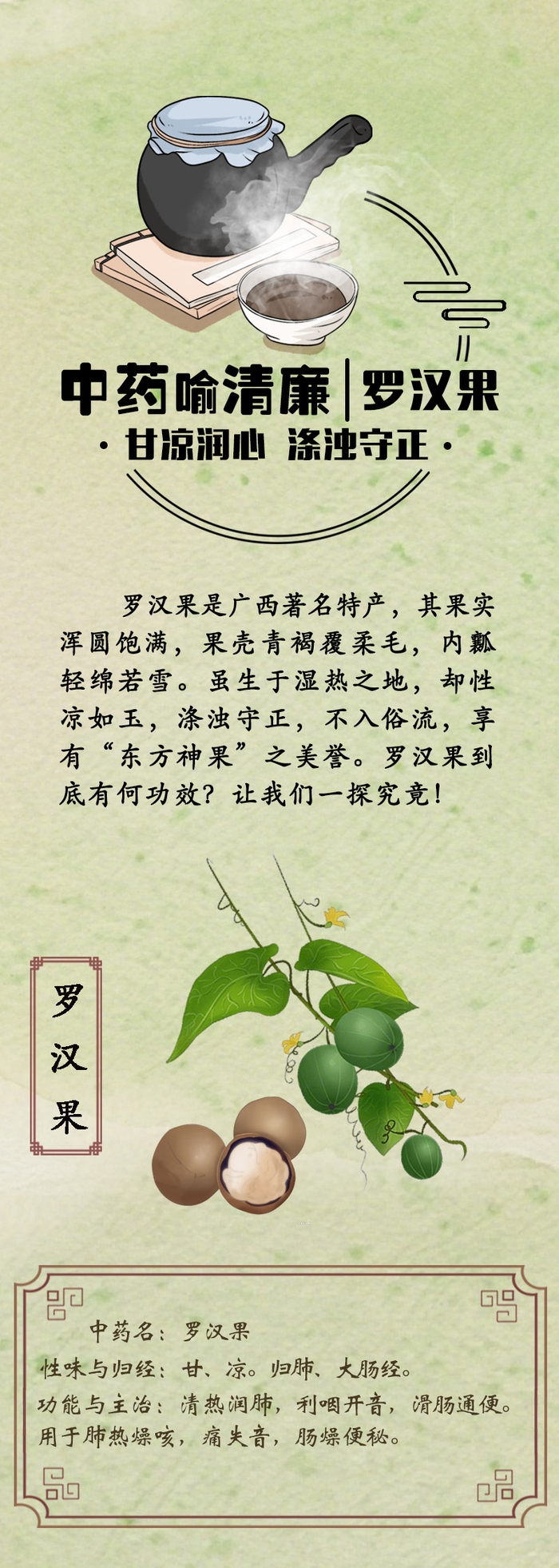 中药喻清廉丨罗汉果：甘凉润心 涤浊守正