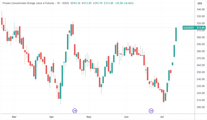 （纽约冷冻橙汁期货日线图，来源：TradingView）
