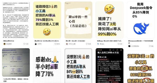 （图源：小红书截图）