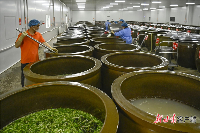 一口口大缸中，美味正在发酵。