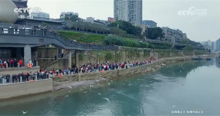 《人水相依》展现宜宾翠屏区动人的生态篇章（央广网发  《沿着纬度听中国》截图画面）