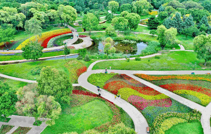 五彩鲜花构成美丽的图案