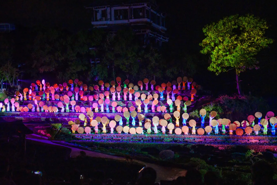 图片来源：印象大红袍微信公号