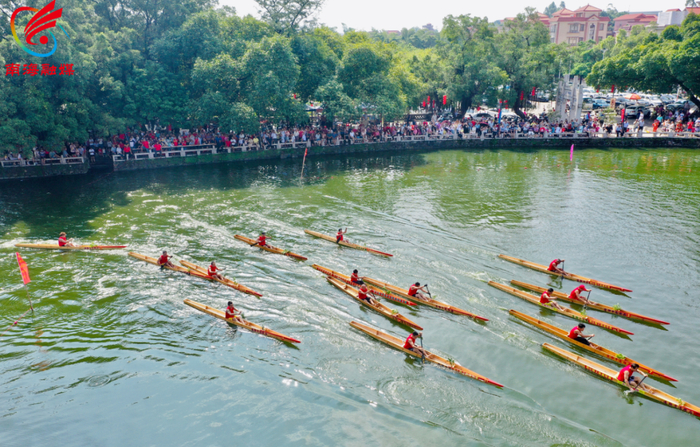 2024年第十二届翰林文化节上，单人龙舟赛创新上演。图/南海融媒