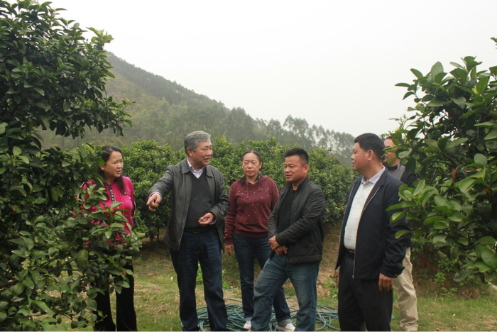 △科学家团队实地调研、指导。