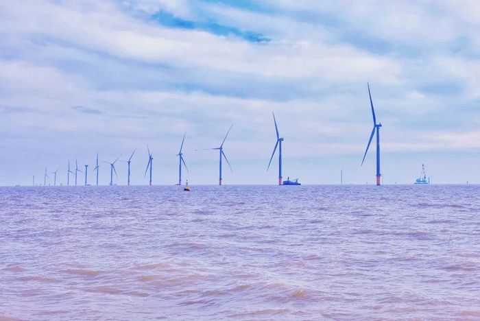 图片来源：企业供图