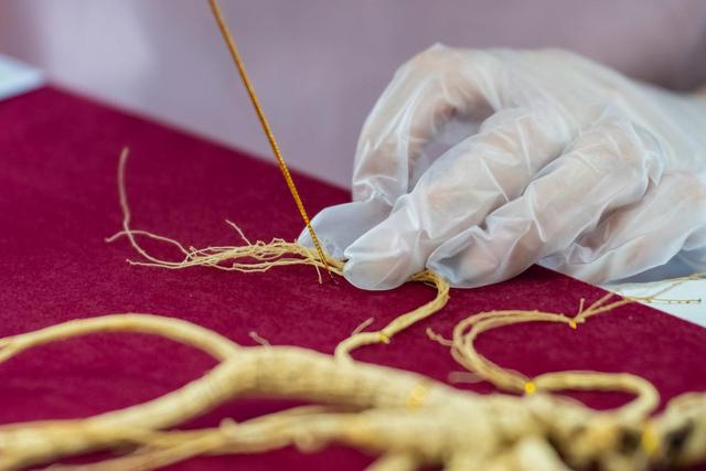 7月15日，吉林省永吉县博大农科公司人参加工厂，工人在手工捆扎人参，准备制作礼盒产品。新华社记者 郭洁宇 摄