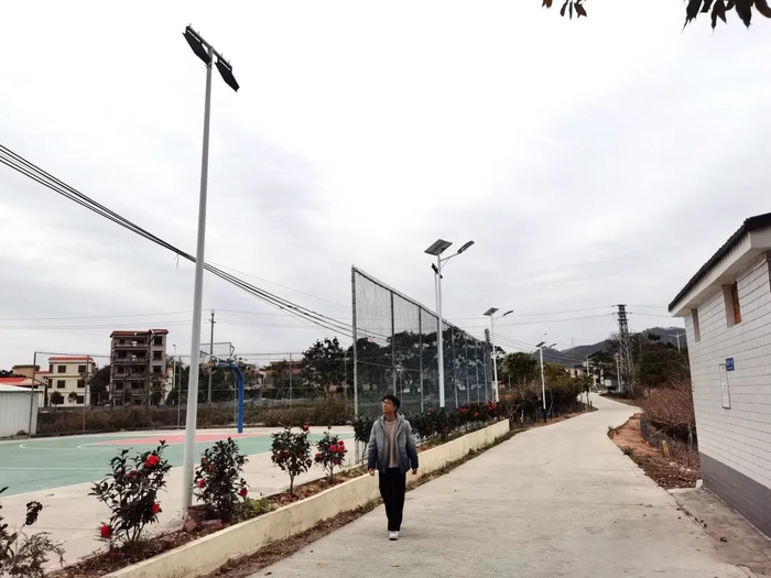 △肇庆学院乡村美学工坊完成四会市大沙镇隆马村格江自然村进村道路规划设计，增设了太阳能路灯。肇庆市融媒体中心记者 潘粤华 摄