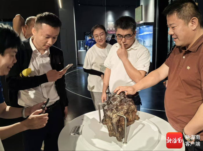 游客参观文昌极星陨石博物馆。记者 吴岳文 摄