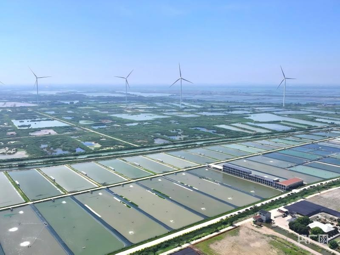 前黄镇渔光一体项目正在建设中（央广网发  蒋文泽  摄）