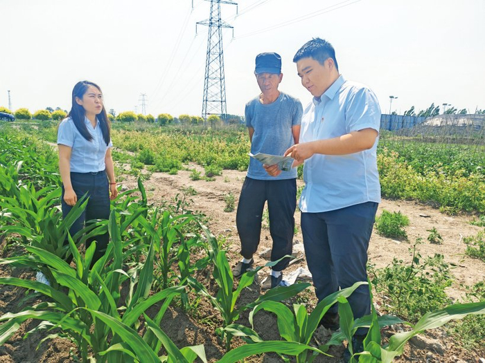 工商银行齐齐哈尔市分行信贷人员（左、右）走访粮食种植大户了解资金需求情况。魏方雯/摄