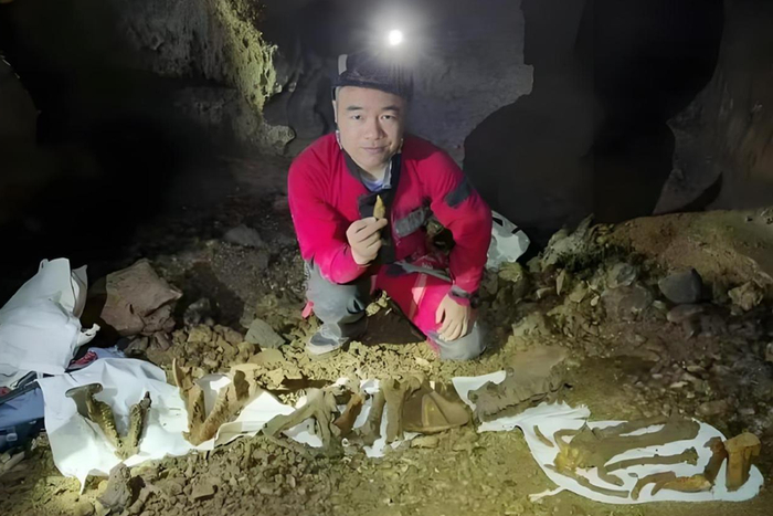 科考人员和探险队在洞穴里采集大熊猫属化石。（图片来源：湖南省地质博物馆）