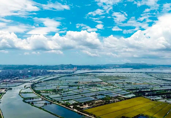 图片来自：汕头市大发水产养殖有限公司