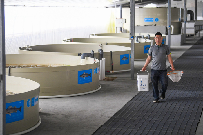 走进温棚，一座座养殖池整齐排列，净水设施为这里生长的鱼虾提供了良好的水环境。