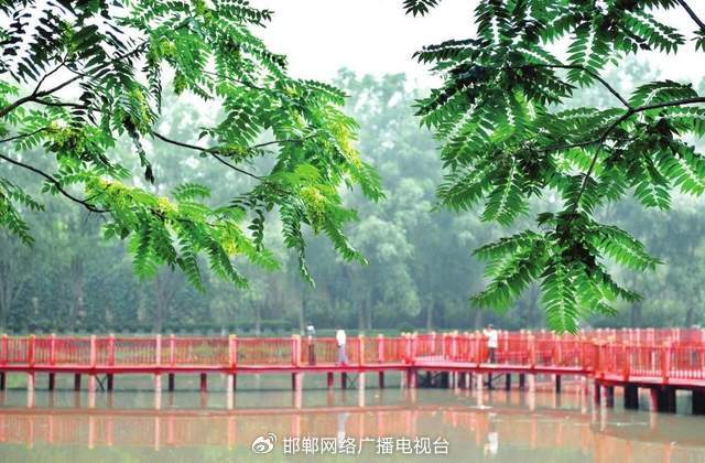 7月10日，游客在涉县太行中央公园游玩。 新华社记者 王晓 摄