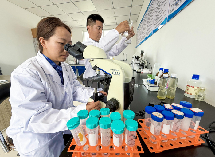 定期对养殖的鱼虾进行抽样，进行病虫害检测，以提高成活率。