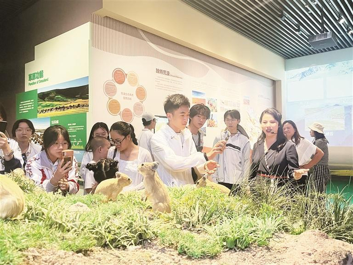     游客走进青海省自然资源博物馆，了解高原生态环境。图片由青海省自然资源博物馆提供