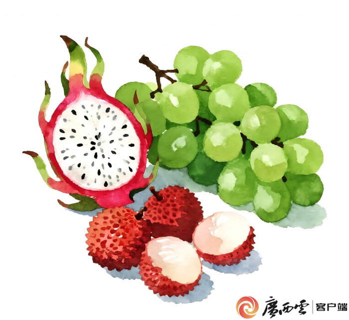 夏季水果。广西云-广西日报记者 古秀芳 制图