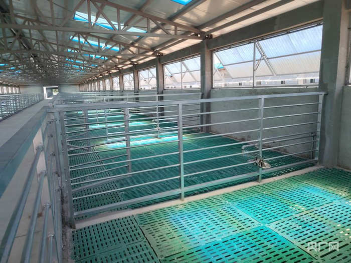 乌烈镇乌烈村养殖羊栏舍项目即将交付使用（央广网记者  付美斌  摄）