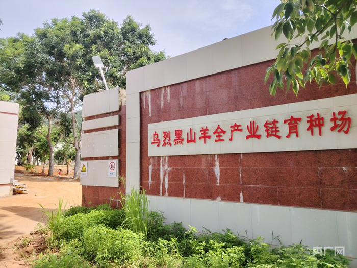 乌烈黑山羊全产业链育种场（央广网记者  付美斌  摄）