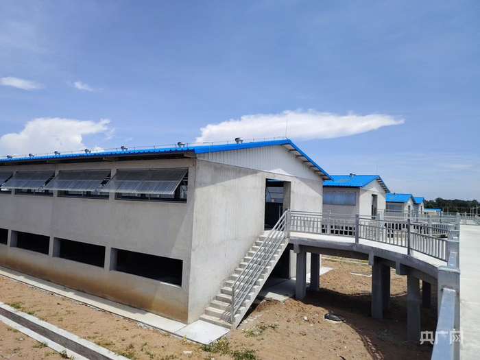 乌烈镇乌烈村养殖羊项目栏舍区（央广网记者  付美斌  摄）