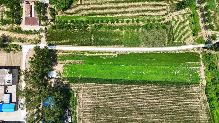 陈坝村修好之后的水泥路