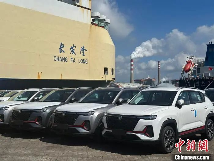 图为中国产商品汽车停放在广西钦州港大榄坪作业区北1号泊位，等待装船出口海外。陈沿佑 摄