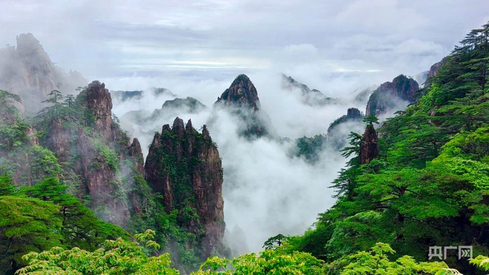 黄山景观（央广网发  许永杰  摄）