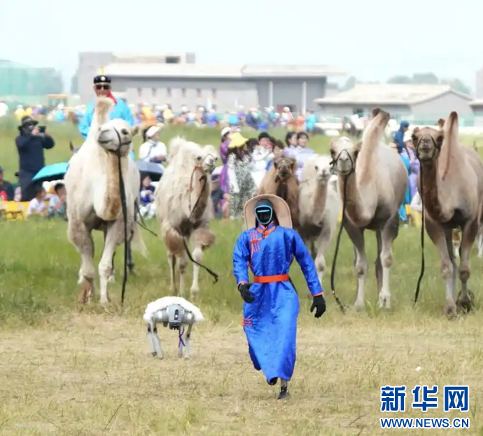 “马超”开幕现场，身着蒙古袍的机器人和身披羊皮的机器狗惊艳亮相。新华网发