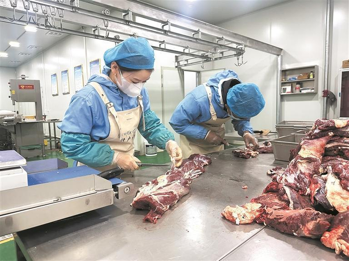 仟户牧场加工车间内工作人员分割藏羊肉。本报记者 王晶 摄