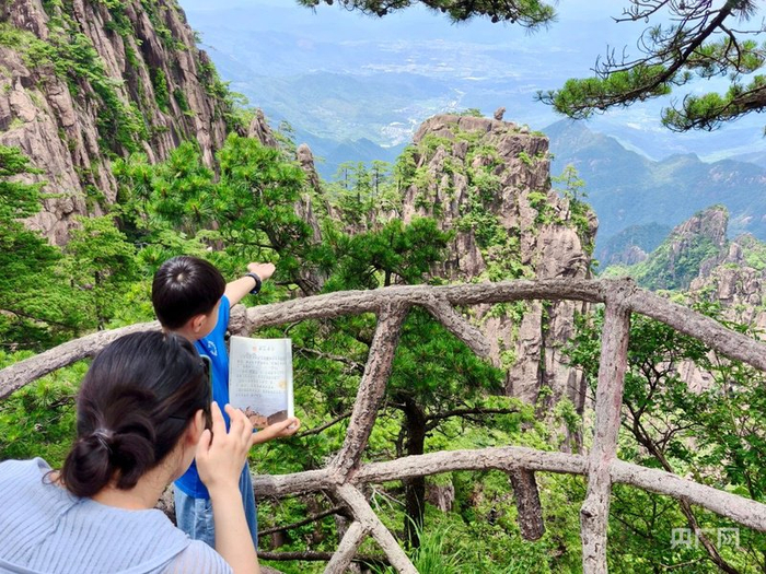 带着课本游黄山（央广网发  许永杰  摄）