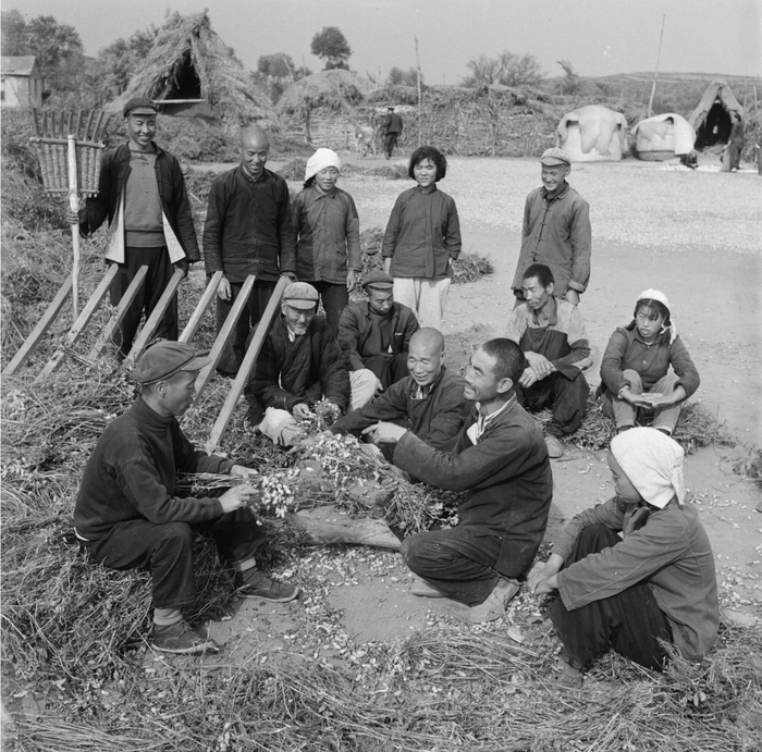 1959年，侯家峪生产队党支部书记徐国顺在场院上和社员们总结花生的生产经验。 李晞摄