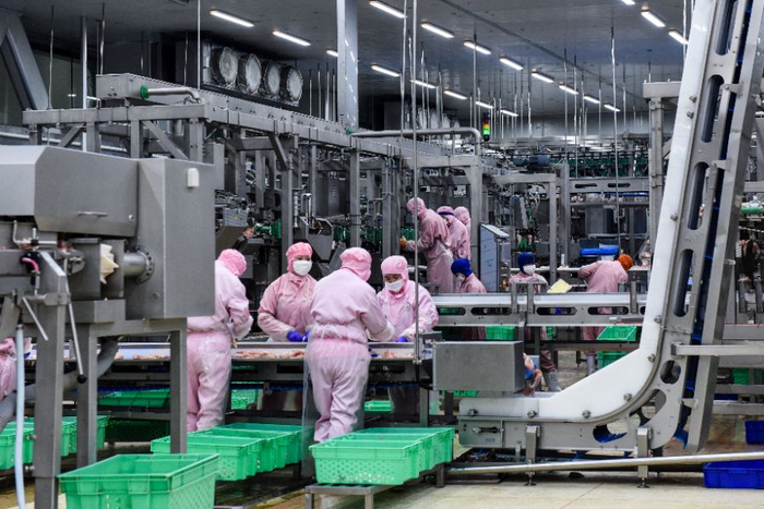 （圣农食品有限公司工厂，图片由受访者提供）