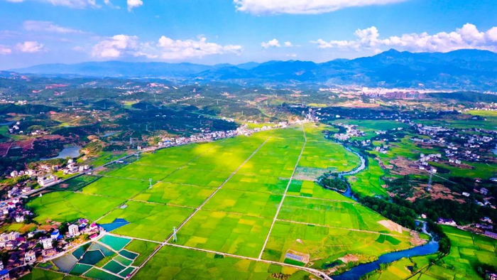 邵阳新宁农田示范基地。申兴刚 摄