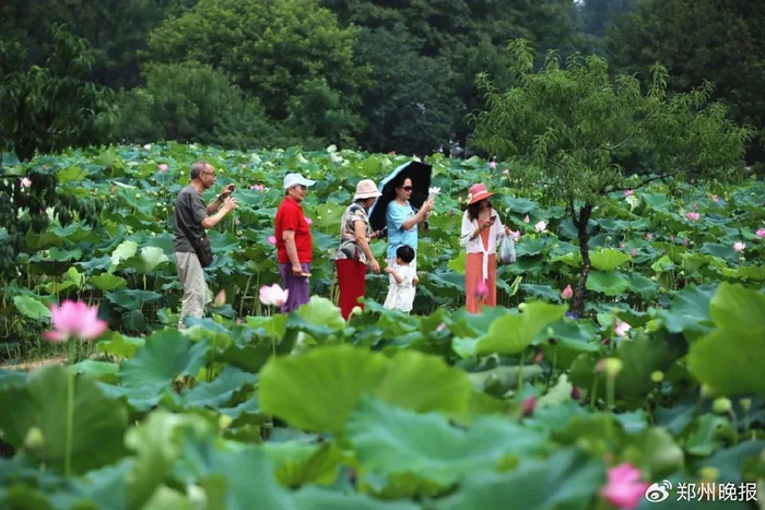 图源：信阳文旅