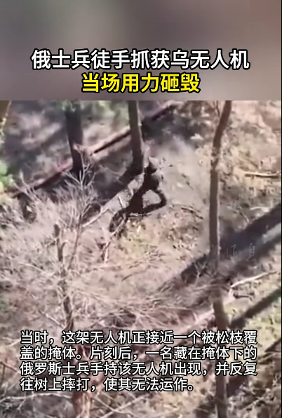 图片来源：参考消息视频截图